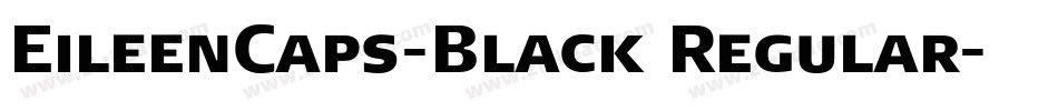 EileenCaps-Black Regular字体转换